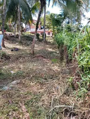 🏜️ පර්චස් 15ක වටිනා බිම් කොටසක් අතුරුගිරියෙන් විකිනීමට