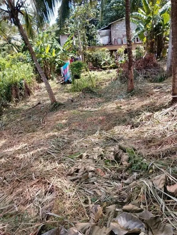 🏜️ පර්චස් 15ක වටිනා බිම් කොටසක් අතුරුගිරියෙන් විකිනීමට