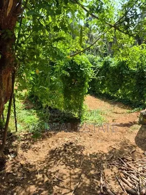 Land for Sale Jaffna