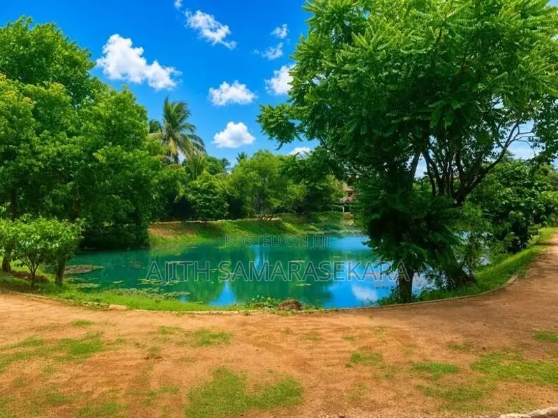 Land for Sale in Facing Lake Gangodawila Nugegoda