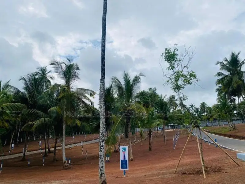 Land for Sale in Kandana