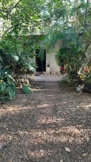 28 P Land at Maharagama Wattegedara with 2 Old Houses