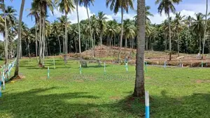 Polgahawela Residential Land Plots ( S )