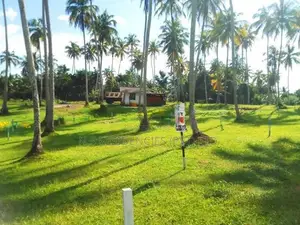 Polgahawela Valuable Land Plots ( S )