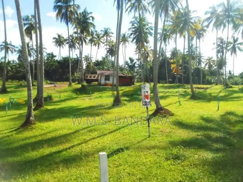 Polgahawela Residential Land Plots ( S )