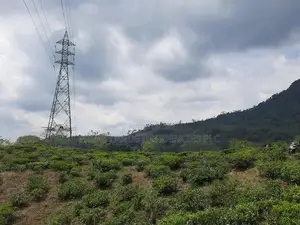 Land for Sale in Pundaluoya