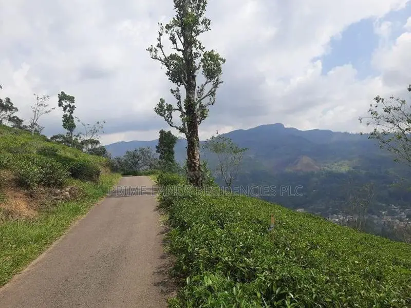 Land for Sale in Pundaluoya