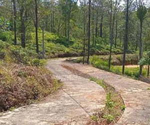 Land for Sale in Pussellawa