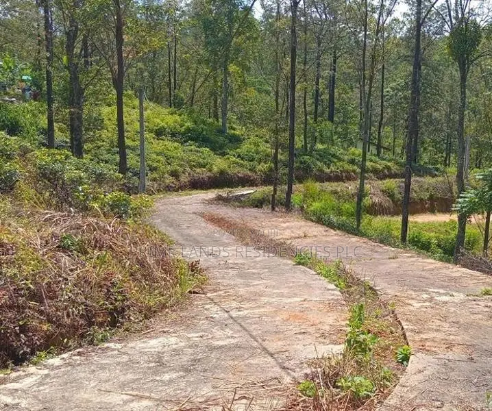 Land for Sale in Pussellawa