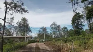 Land for Sale in Pussellawa