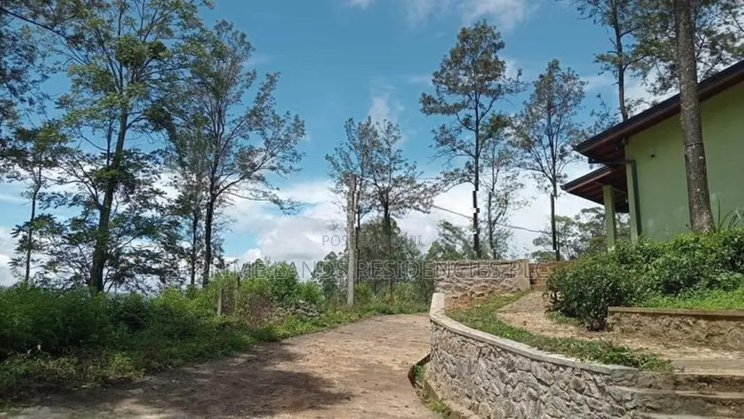 Land for Sale in Pussellawa