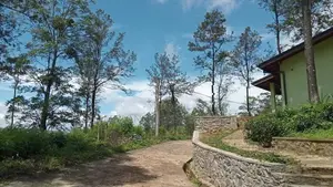 Land for Sale in Pussellawa