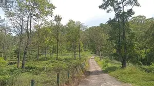 Land for Sale in Pussellawa