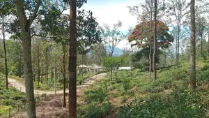 Land for Sale in Pussellawa