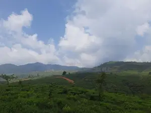 Land for sale in Ramboda