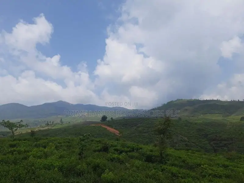 Land for sale in Ramboda