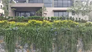 Scottish Villas for sale in Kandy Digana