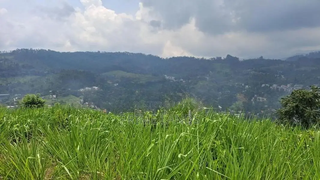 Mountain View Land for Sale in Pussellawa