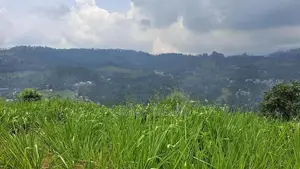 Mountain View Land for Sale in Pussellawa