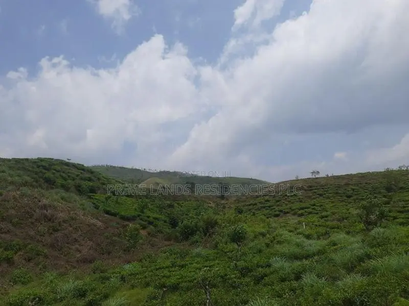 Land for sale in Ramboda