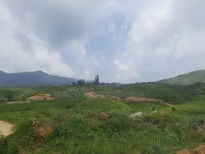 Land for sale in Ramboda