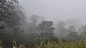 Mountain View Land for Sale in Pussellawa
