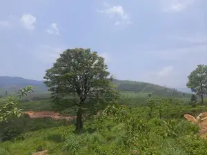 Land for sale in Ramboda