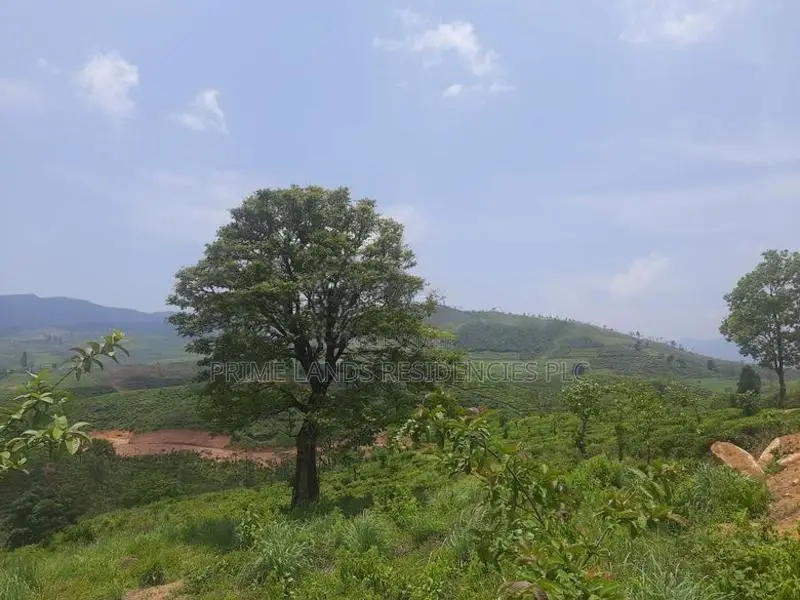 Land for sale in Ramboda