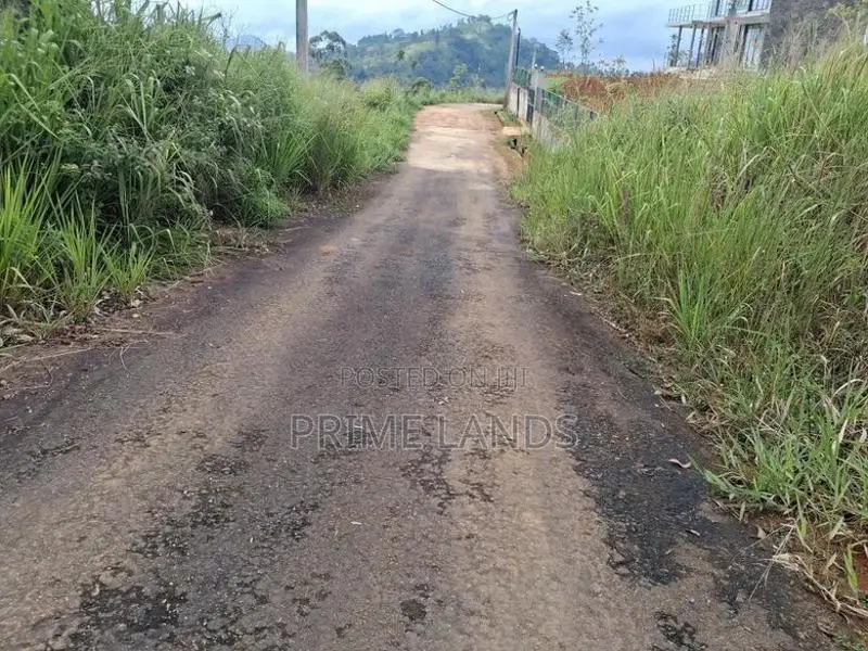 Mountain View Land for Sale in Pussellawa