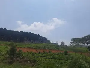 Land for sale in Ramboda