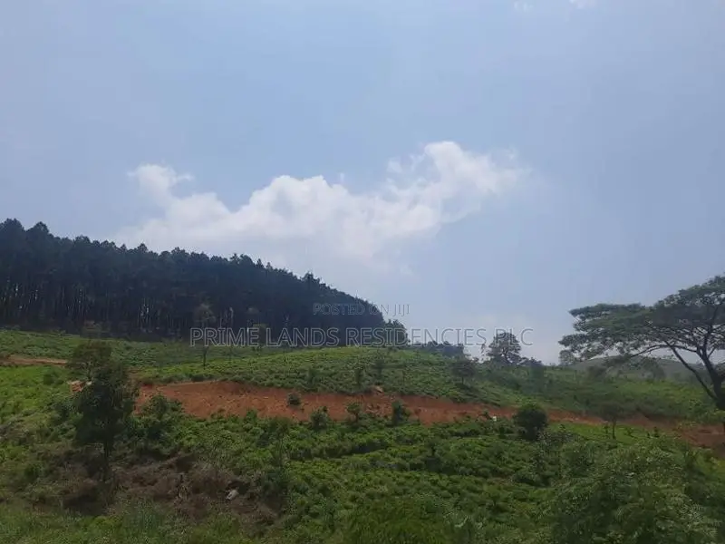 Land for sale in Ramboda