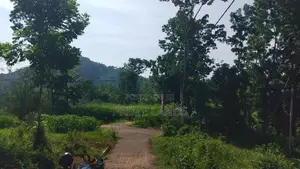 Residential Land for sale in Nelumdeniya
