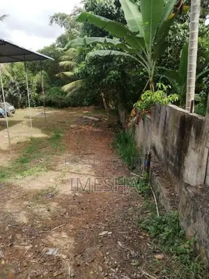 Land For Sale Alawwa