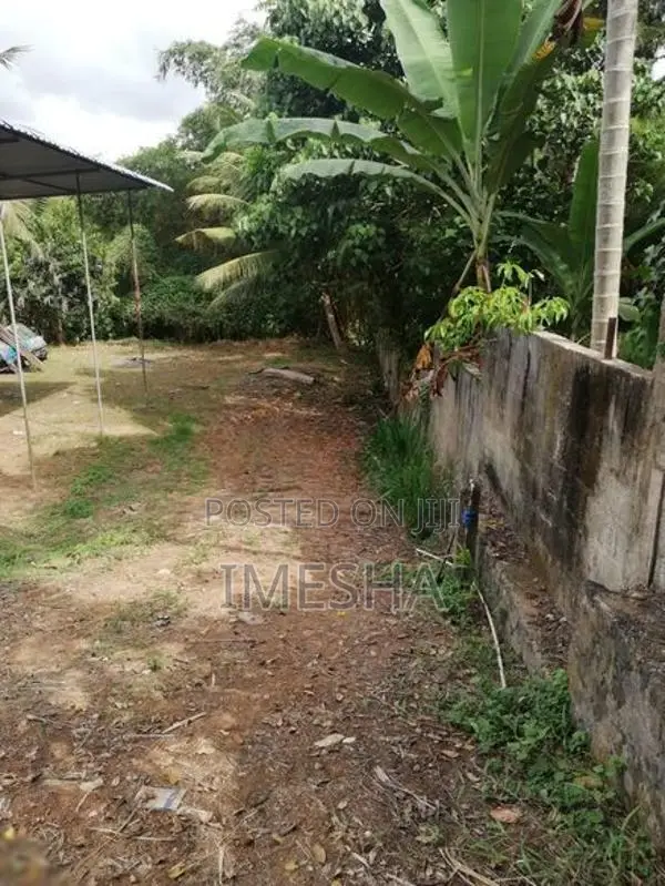 Land For Sale Alawwa