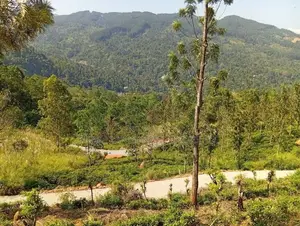 Land for sale in Nillamba