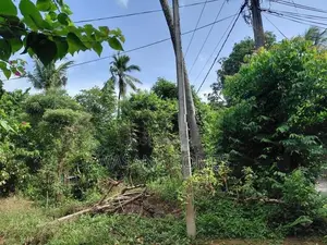 Valuable Land for Sale Borelesgamuwa