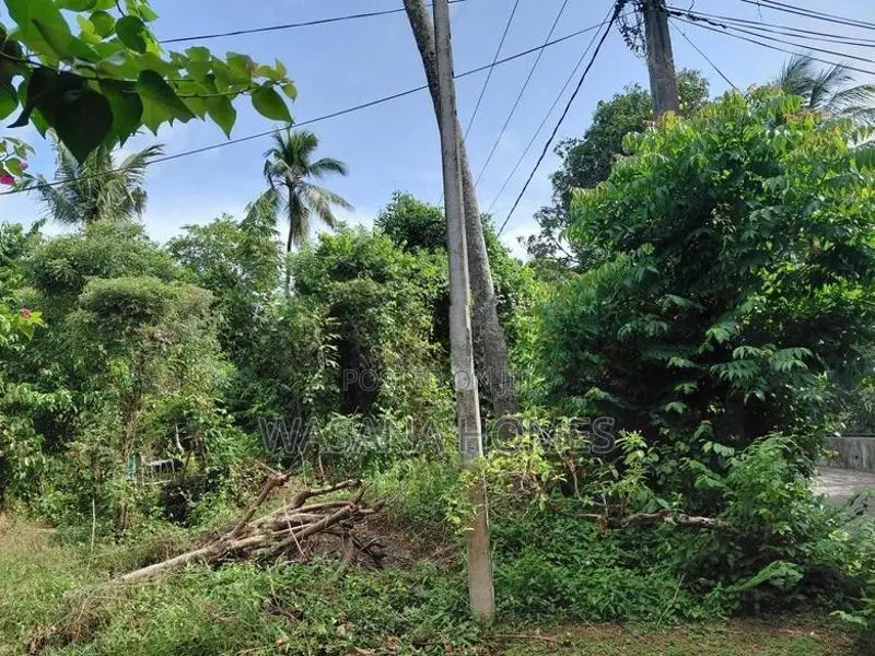 Valuable Land for Sale Borelesgamuwa