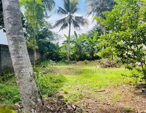 8 Perch Land for Sale in Ethul Kotte