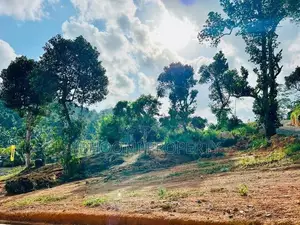 ගාල්ල උඩුගම බස් පාරට ලගින්ම