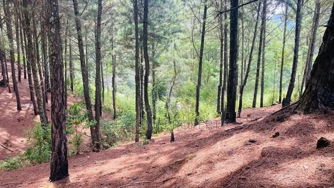Land for sale in Ella