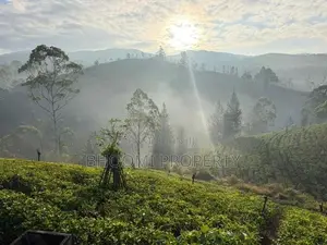 Natural Houses for sale in Rozella