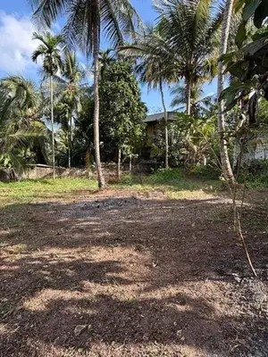 Land For Sale In Nittabuwa