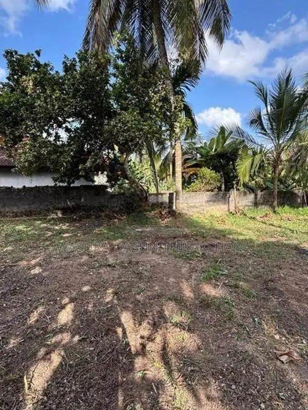 Land For Sale In Nittabuwa