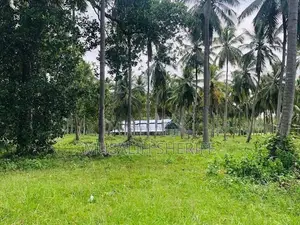 Gonagama Coconut Estate Land for Sale