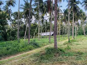 Gonagama Coconut Estate Land for Sale