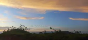Land for Sale in Watawala