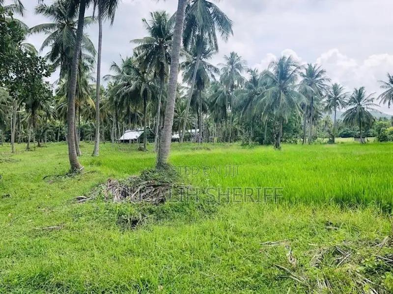 Gonagama Coconut Estate Land for Sale