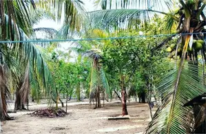 Valuable Land Near New Kachery-Batticaloa
