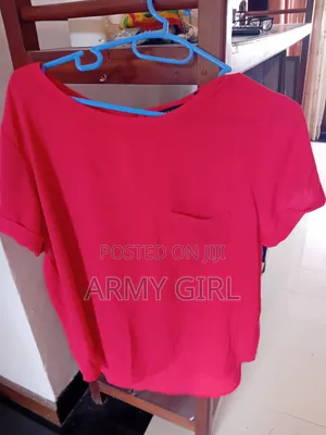 Pink Blouse
