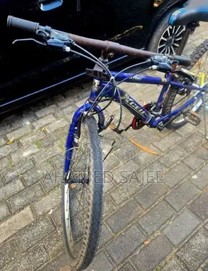 Blue Mountain Bike